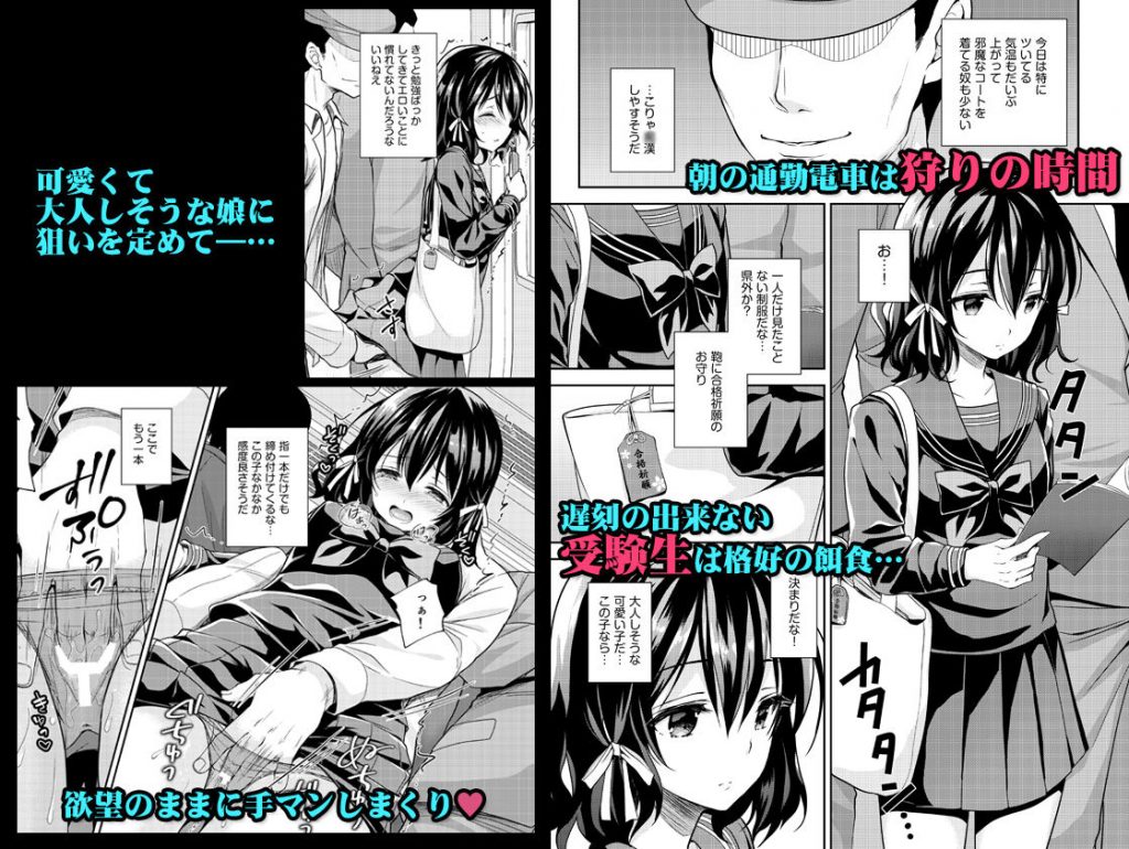 恥辱の痴○電車2～狙われた受験生～【Sugar＊Berry＊Syrup】