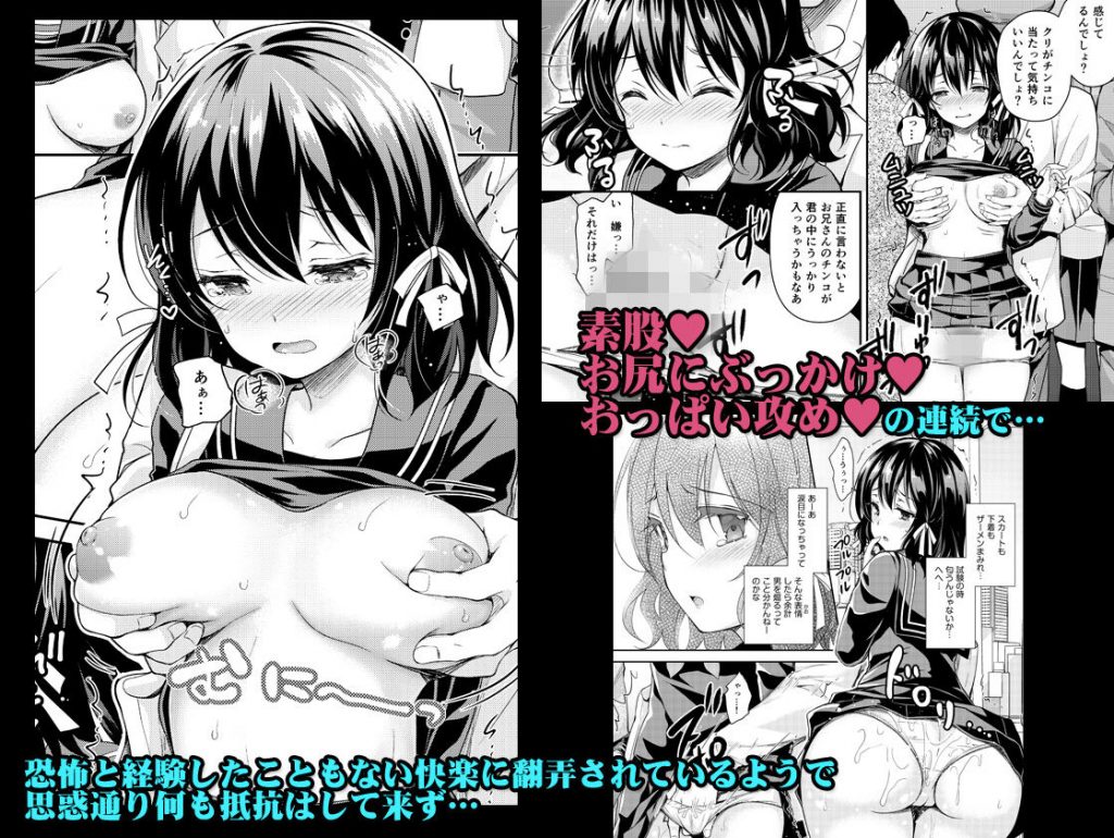 恥辱の痴○電車2～狙われた受験生～【Sugar＊Berry＊Syrup】