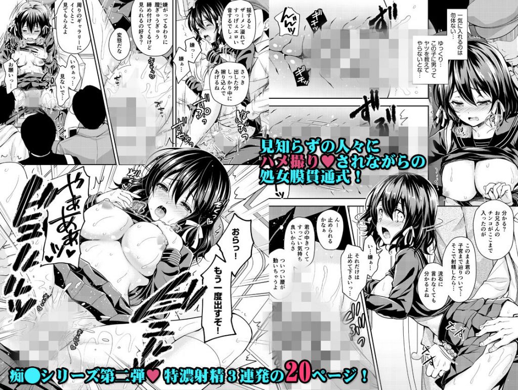 恥辱の痴○電車2～狙われた受験生～【Sugar＊Berry＊Syrup】