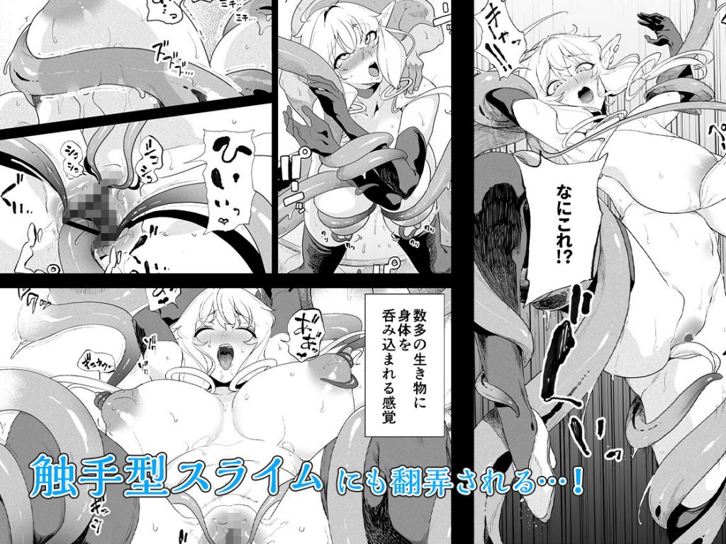 電脳姦姫 仮想空間で堕ちる少女【カマボコ工房】